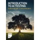 Introduction to AI Testing: Guide to ISTQB® CT-AI Certification