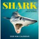Shark Mini Wall Calendar 2026