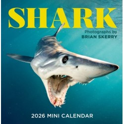 Shark Mini Wall Calendar 2026