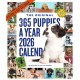 365 Puppies-A-Year Picture-A-Day® Wall Calendar 2026
