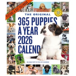 365 Puppies-A-Year Picture-A-Day® Wall Calendar 2026