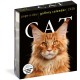 Cat Page-A-Day® Gallery Calendar 2026: A Delightful Gallery of Cats for Your Desktop