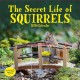 Secret Life of Squirrels Wall Calendar 2026