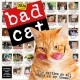 Bad Cat Wall Calendar 2026