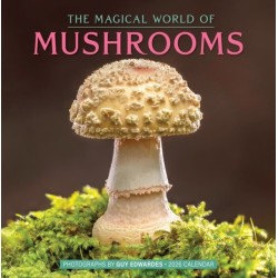 The Magical World of Mushrooms Wall Calendar 2026