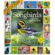 Audubon Songbirds And Other Backyard Birds Picture-A-Day® Wall Calendar 2026