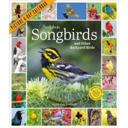 Audubon Songbirds And Other Backyard Birds Picture-A-Day® Wall Calendar 2026