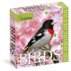 Audubon Birds Page-A-Day® Calendar 2026