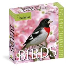 Audubon Birds Page-A-Day® Calendar 2026