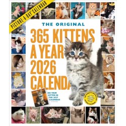 365 Kittens-A-Year Picture-A-Day® Wall Calendar 2026