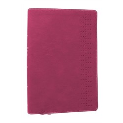 Student Study Bible: A Guide to Knowing and Living God’s Word (NKJV, Pink Leathersoft, Red Letter, Comfort Print)