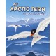 My Arctic Tern Migration Journey