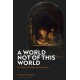A World Not of this World: The Reality of Images and Imagination