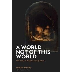 A World Not of this World: The Reality of Images and Imagination