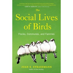 The Social Lives of Birds: Flocks, Communes, and Families