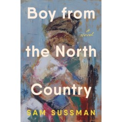 Boy from the North Country: A Novel