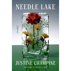 Needle Lake: A Novel