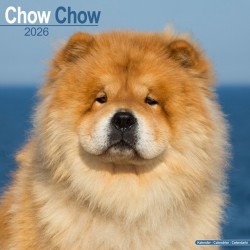 Chow Chow Calendar 2026  Square Dog Breed Wall Calendar - 16 Month