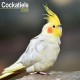 Cockatiels Calendar 2026  Square Bird Wall Calendar - 16 Month