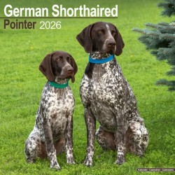 German Shorthair Pointer Calendar 2026  Square Dog Breed Wall Calendar - 16 Month
