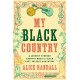 My Black Country: A Journey Through Country Music's Black Past, Present, and Future