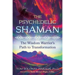 The Psychedelic Shaman: The Wisdom Warrior's Path to Transformation
