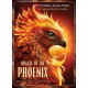 Oracle of the Phoenix: 44-Card Deck and Book
