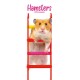 Hamsters Slim Calendar 2026  Cute Slimline Calendar - 12 Month