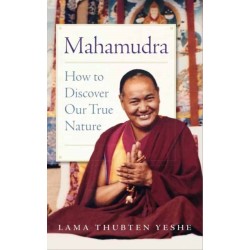 Mahamudra: How to Discover Our True Nature