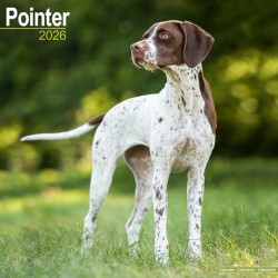 Pointer  Calendar 2026  Square Dog Breed Wall Calendar - 16 Month