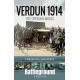 Verdun 1914: The Opening Moves