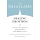 Healing Emotions: Conversations with the Dalai Lama on Psychology, Meditation, and the Mind-Body Connection