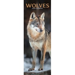 Wolves Slim Calendar 2026  Slimline Calendar - 12 Month