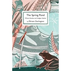 The Spring Pond: Where Rushes and Sedges Gather