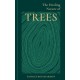 The Healing Nature of Trees