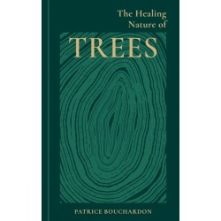 The Healing Nature of Trees