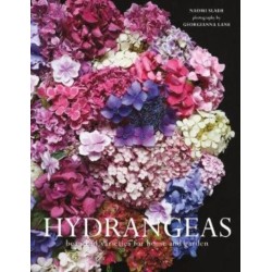 Hydrangeas: Beautiful Varieties for Home and Garden