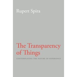 Transparency of Things: Contemplating the Nature of Experience