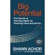 Big Potential: Five Secrets of Reaching Higher by Powering Those Around You