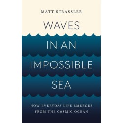 Waves in an Impossible Sea: How Everyday Life Emerges from the Cosmic Ocean