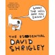 What The Hell Are You Doing?: The Essential David Shrigley