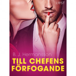 Till chefens förfogande - erotisk novell