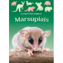 Marsupials