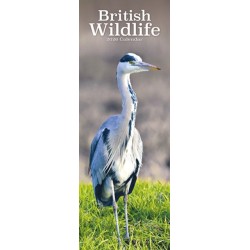 British Wildlife Slim Calendar 2026  Slimline Calendar - 12 Month