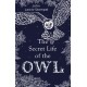 The Secret Life of the Owl: a beautifully illustrated and lyrical celebration of this mythical creature from bestselling and prize-winning author John Lewis-Stempel
