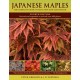 Japanese Maples: The Complete Guide to Selection and Cultivation, Fourth Edition