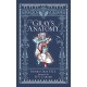 Gray's Anatomy (Barnes & Noble Collectible Editions)