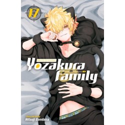 Mission: Yozakura Family, Vol. 17