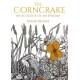 The Corncrake: An Ecology of an Enigma