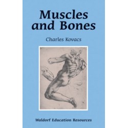 Muscles and Bones